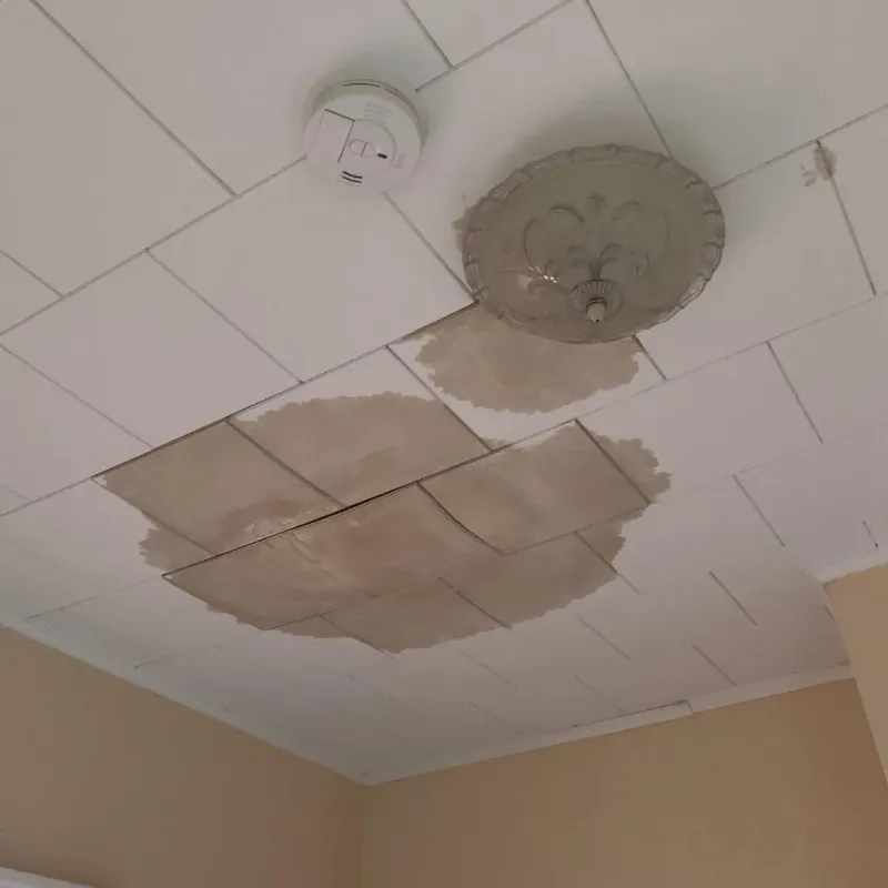 Ceiling Water Damage Repair in Elkland, PA